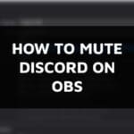 How to mute discord on OBS