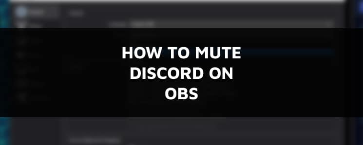 Step By Step Guide How To Mute Discord On Obs Studio Streamerstartup