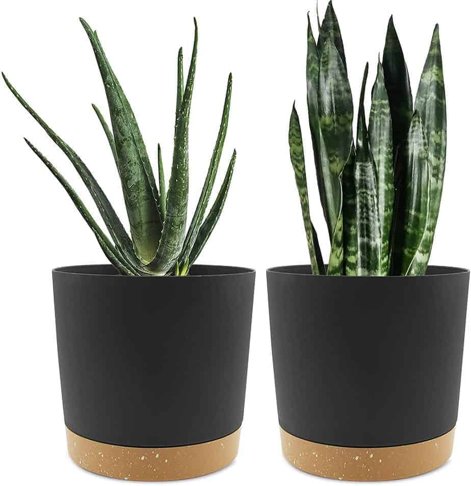 Plant Pots