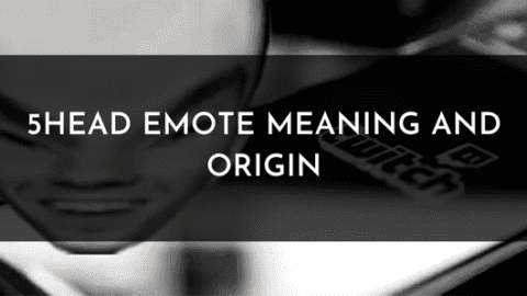 5head Emote Meaning and Origin