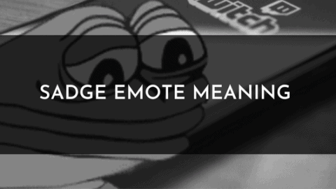 Sadge Emote Meaning and Origin