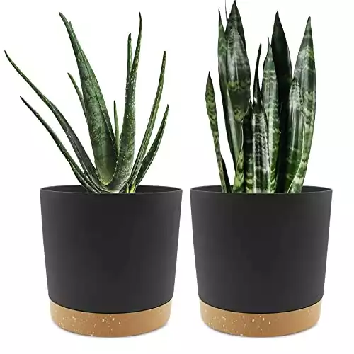 Plant Pots | Amazon